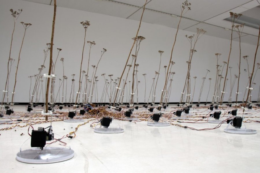 tele-present wind de David Bowen, 2010 tele-present wind de David Bowen, 2010